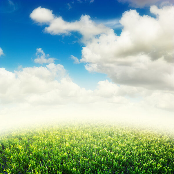 Green field under blue clouds sky. Beauty nature background