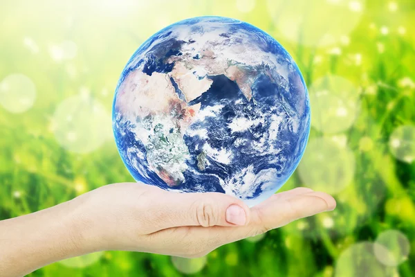 Terra pianeta in mano su sfondo erba verde Immagine Stock