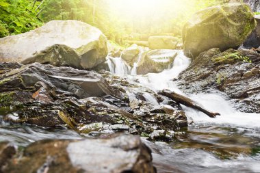 Dağlar ormandaki nehir. Güzellik doğa arka plan
