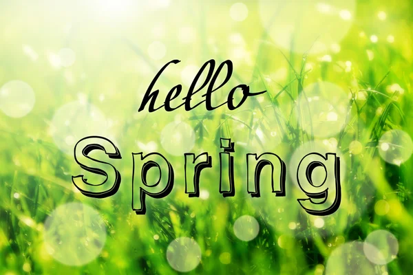 Frázi hello jaro přes zelené trávy bokeh — Stock fotografie