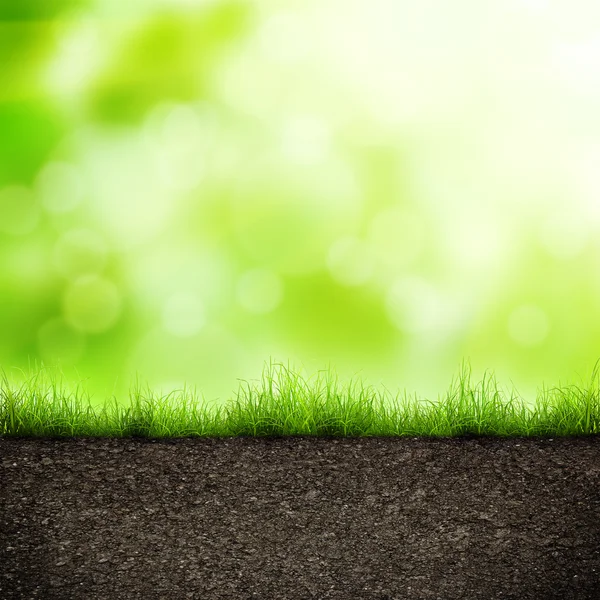 Erba verde con in terreno su bokeh morbido — Foto Stock