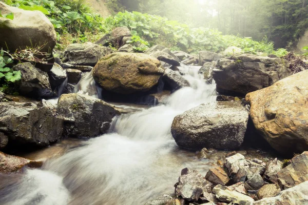 Río en el bosque. — Foto de Stock