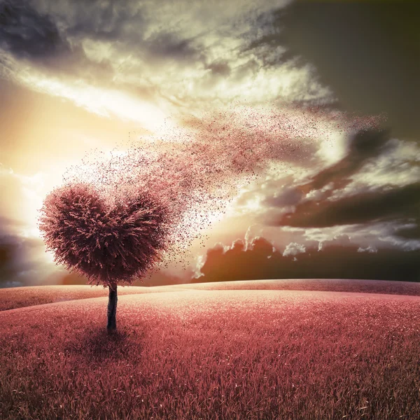 Abstract field with heart shape tree under blue sky — Stock Photo, Image