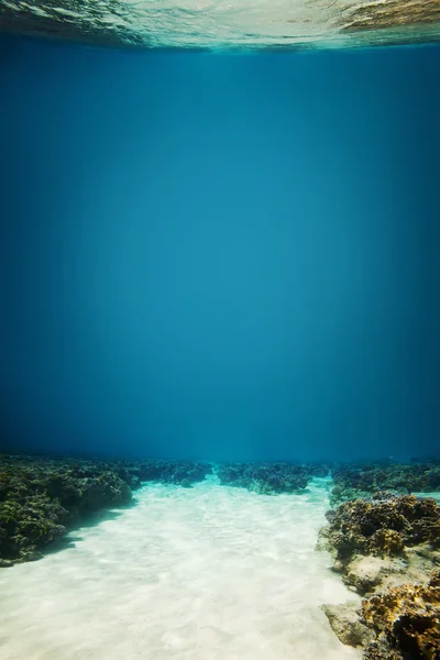 푸른 물 배경으로 모래 바다 바닥 — 스톡 사진