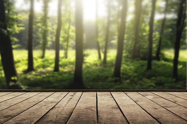 Zonlicht in bos en hout planken vloer — Stockfoto