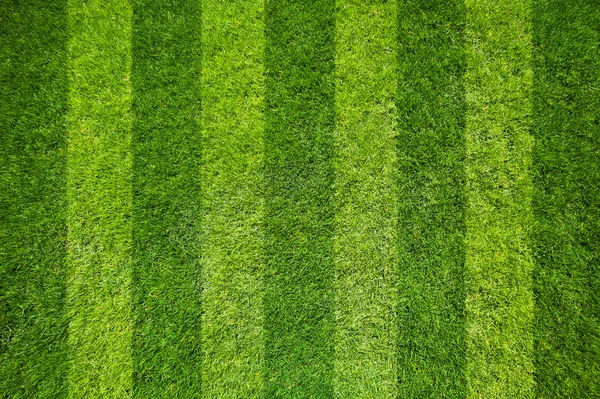 Green football field background — Stock Photo, Image