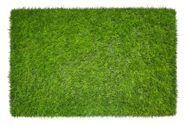 Plein van groen grasveld op witte achtergrond — Stockfoto