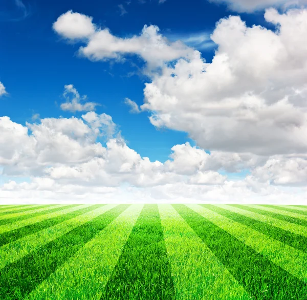 Зелене футбольне поле під фоном блакитного неба — стокове фото