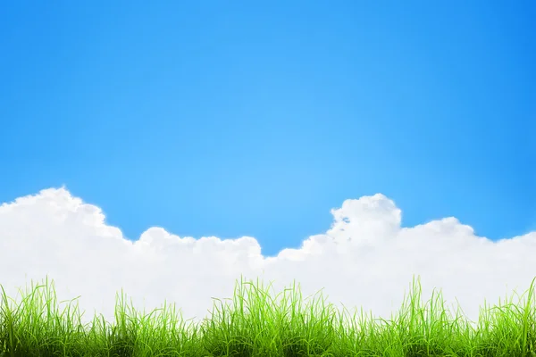 Πράσινο γρασίδι πάνω από έναν γαλάζιο ουρανό — Φωτογραφία Αρχείου