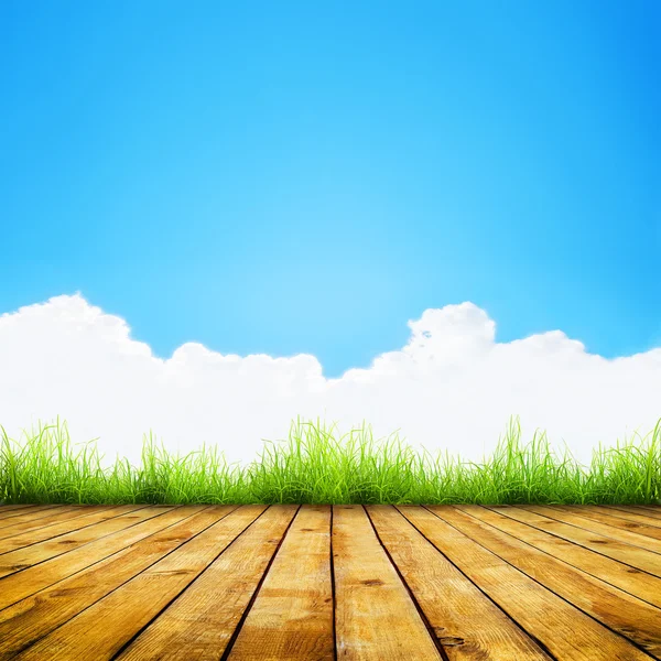 Fresh spring green grass with blue bokeh and sunlight and wood floor — Stock Photo, Image