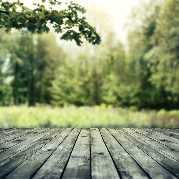 Beautiful sunlight in the autumn forest.