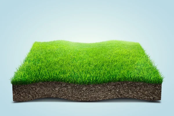 Square of green grass field over blue background — Stock Photo, Image