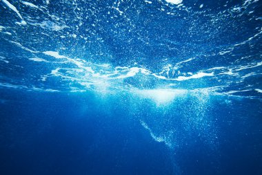 Deniz sualtı görüntüleme. 