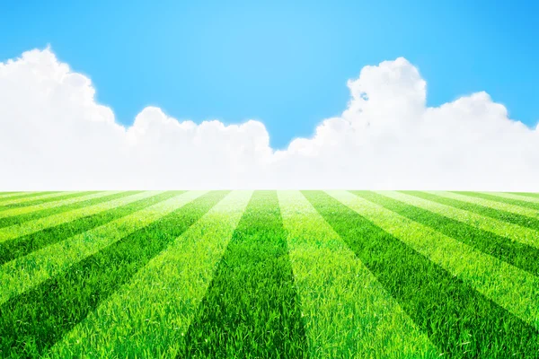 Green football field under blue sky background — Stock Photo, Image