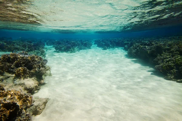 Fondo marino arenoso con fondo de agua azul —  Fotos de Stock