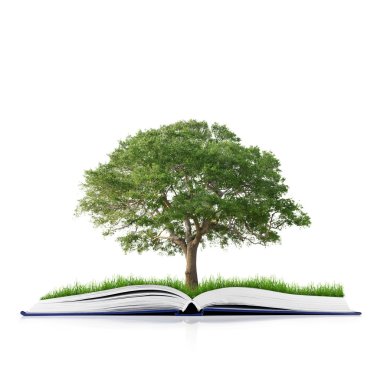 doğal çim ile kitap