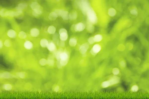 Green grass natural background — Stock Photo, Image