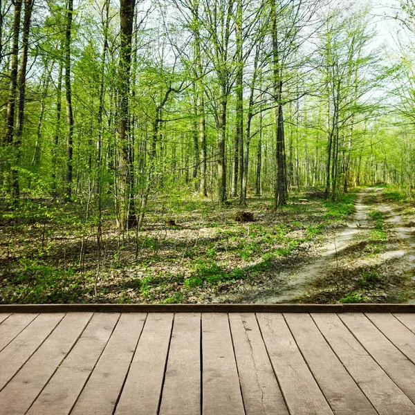 Forest and wood planks — Stock Photo, Image