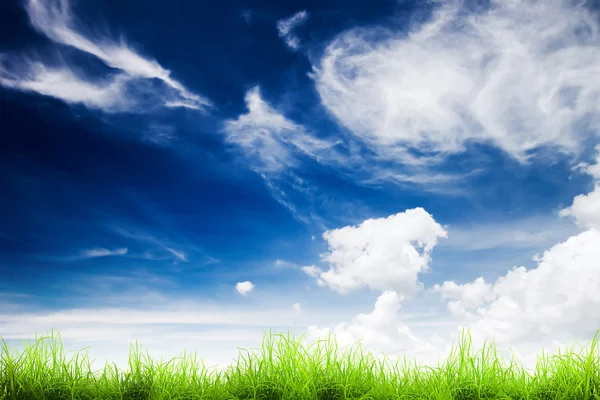 Grass over a blue sky — Stock Photo, Image