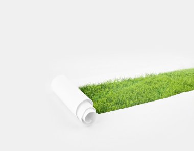 Kağıt delik çimen