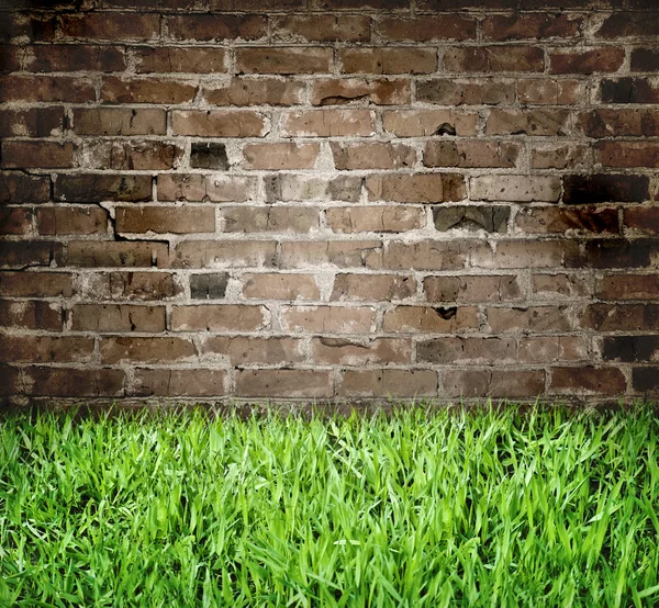 Brick Wall and Green Grass — Stock Photo, Image