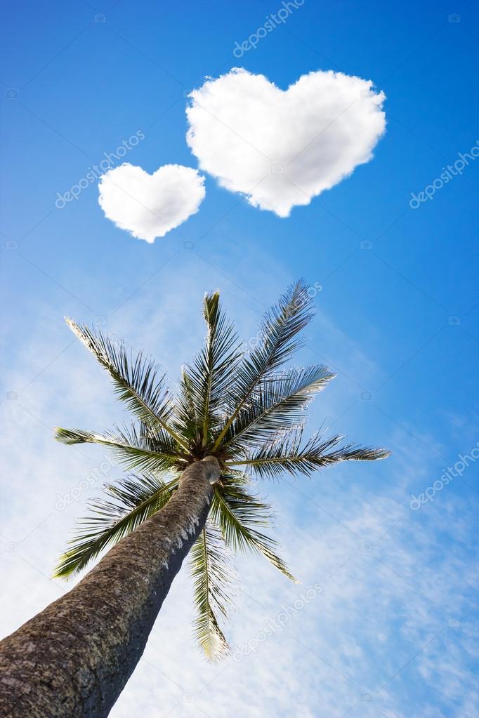 Palm tree and heart shape clouds