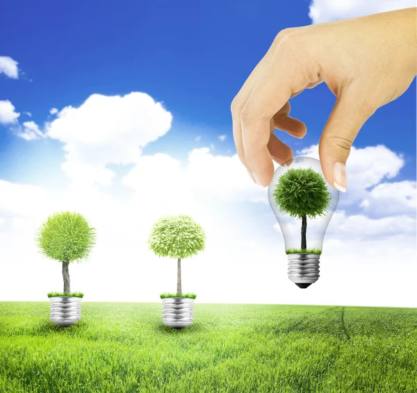 Hand plant tree in light bulb — Stock Photo, Image