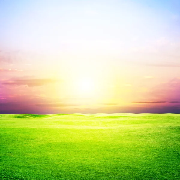 Grüne Wiese und Sonnenuntergang — Stockfoto