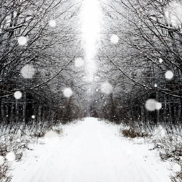 Camino nevado de invierno — Foto de Stock