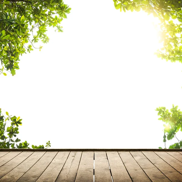 Groene bladeren met houten vloer — Stockfoto