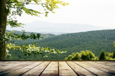 Güzellik doğa arka plan
