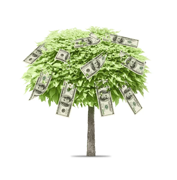 Árbol con dinero creciendo en él —  Fotos de Stock