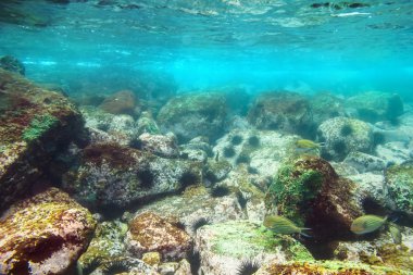 Deniz altındaki mavi su ile
