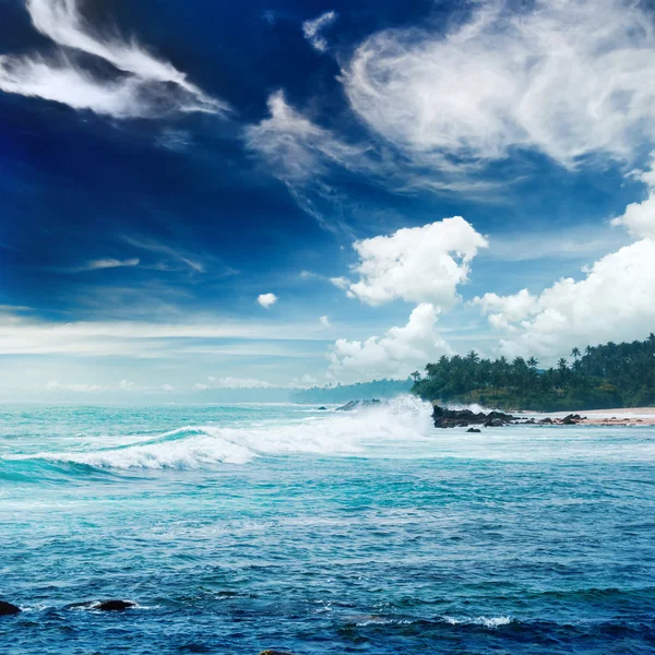 Tropical beach with palm trees — Stock Photo, Image