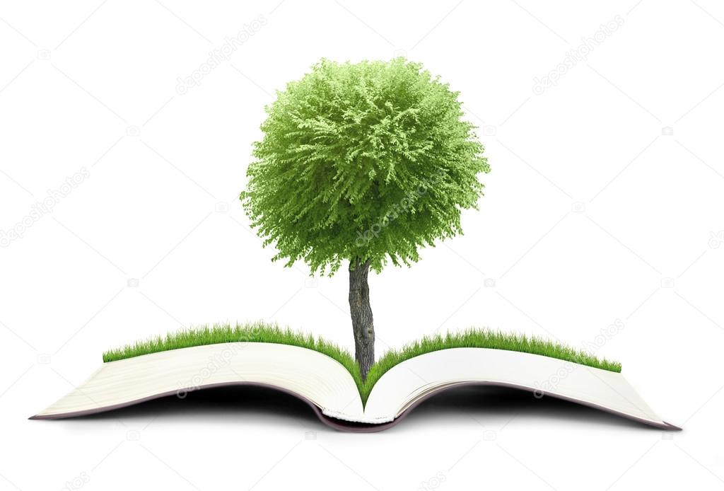 Tree growing from book Stock Photo by ©robertsrob 63450791