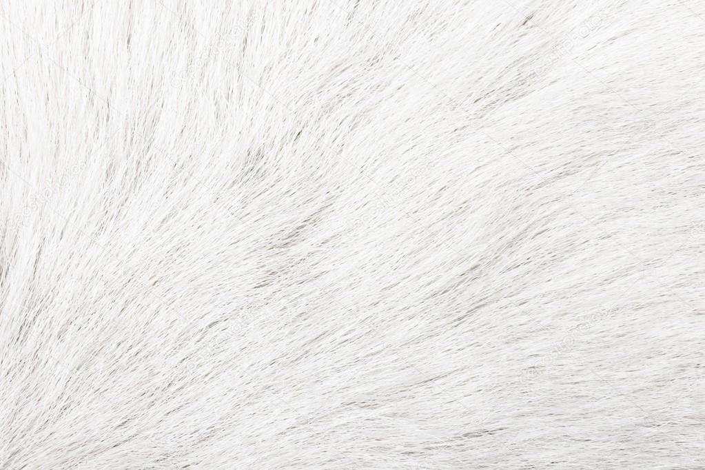 A seamless soft white fur texture