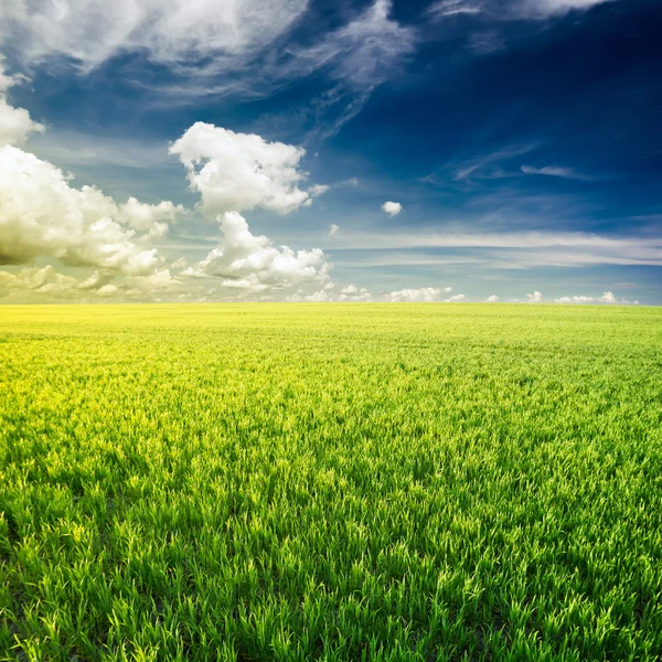 Green field under blue clouds sky Stock Picture