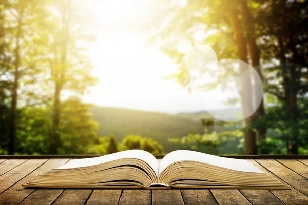 Libro sobre tablones de madera — Foto de Stock