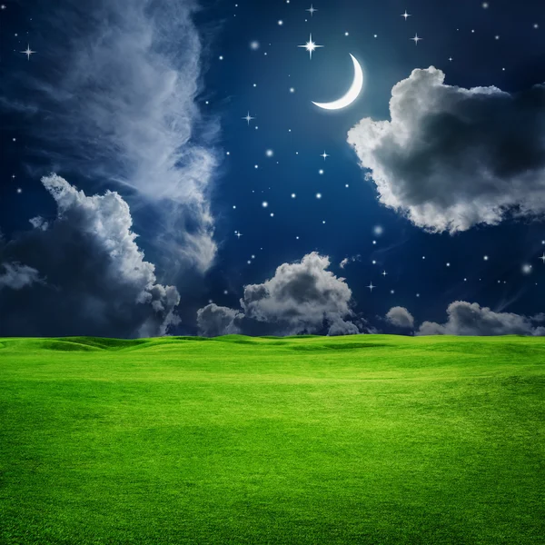 Field under night sky — Stock Photo, Image