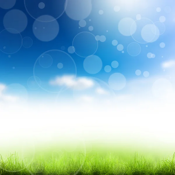 Зелена трава над блакитним небом — стокове фото