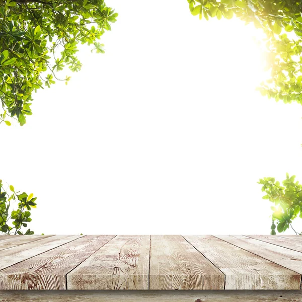 Foglie verdi con tavolo in legno sopra bianco — Foto Stock