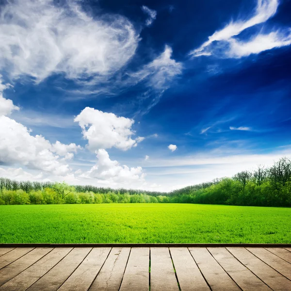 Campo verde sotto il cielo blu — Foto Stock