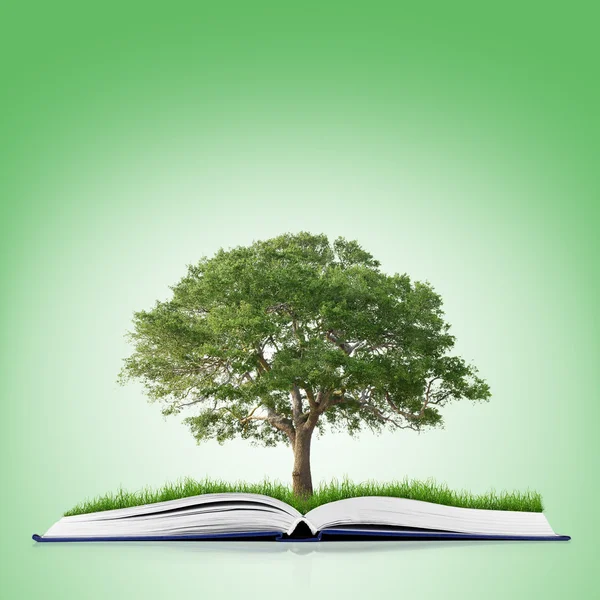 Boek van de natuur met gras en boom — Stockfoto