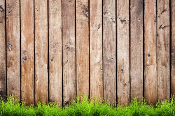 Herbe verte printanière sur clôture en bois — Photo