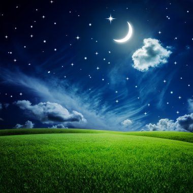 Gece gökyüzü altında yeşil alan