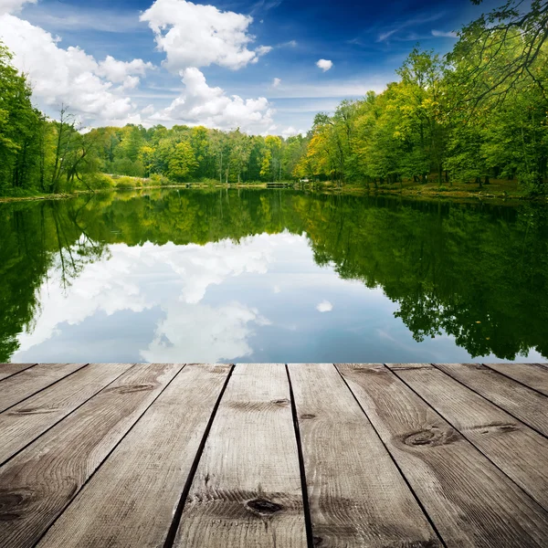 Bos en houten planken — Stockfoto