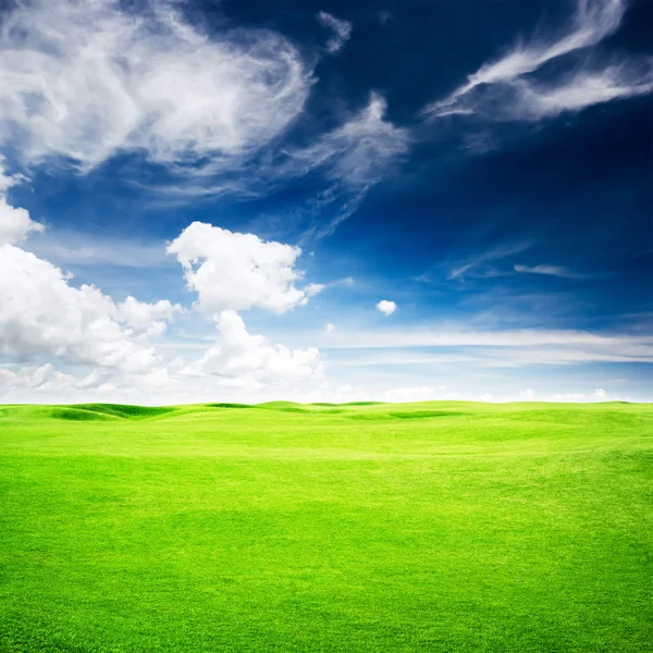 Грін гольф-поле — стокове фото