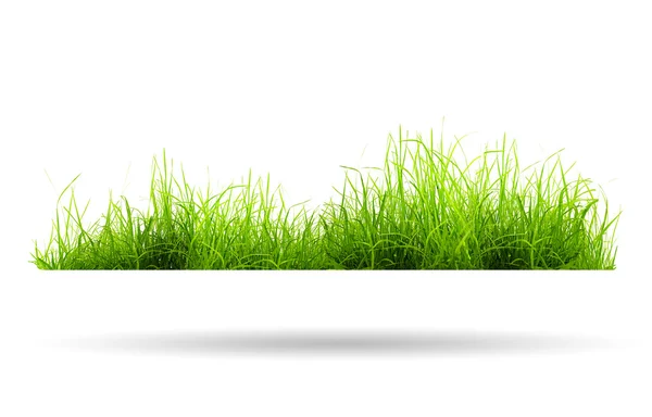 Green grass with shadow — Stock Photo, Image