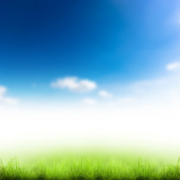 Grama verde sobre o céu — Fotografia de Stock