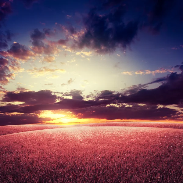 Campo astratto sotto il cielo del tramonto — Foto Stock